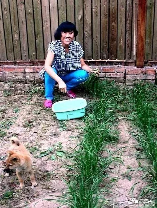 永远在天地间燃烧的火焰——沉痛悼念铁道兵著名女诗人伊蕾